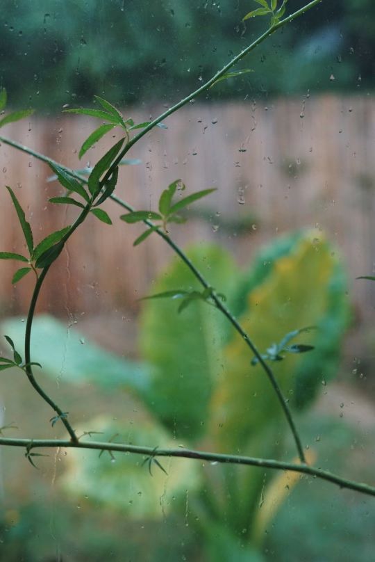 想写文章没有头绪怎么办,写作业写得好烦怎么办