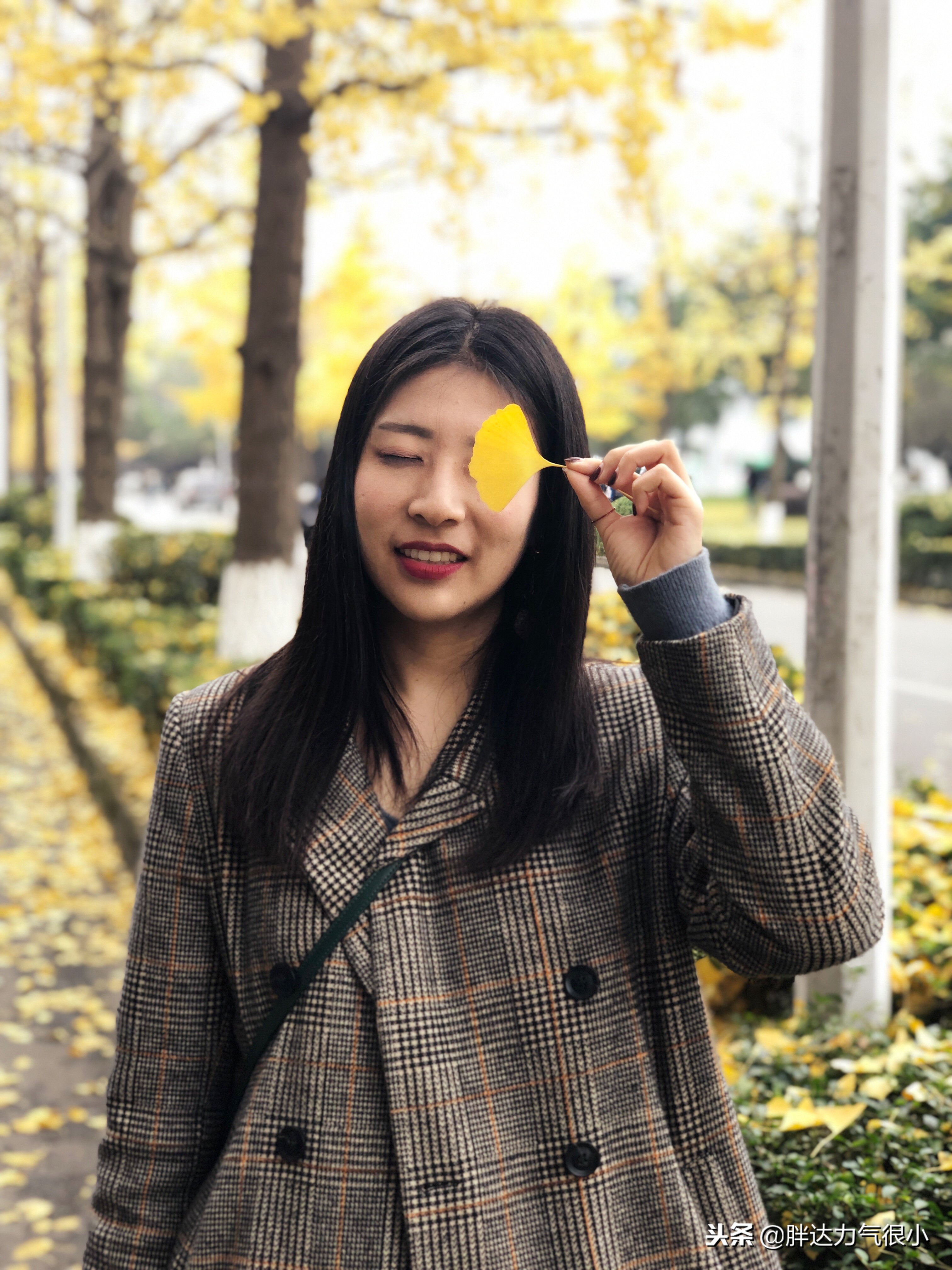 成都失恋之旅,失恋了去成都哪里旅游好