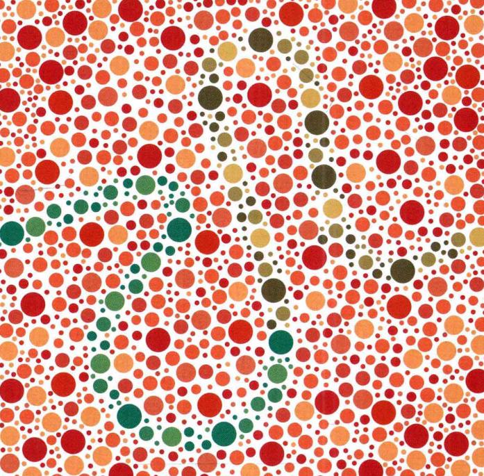 色弱测试图兔子,五张色觉检测图