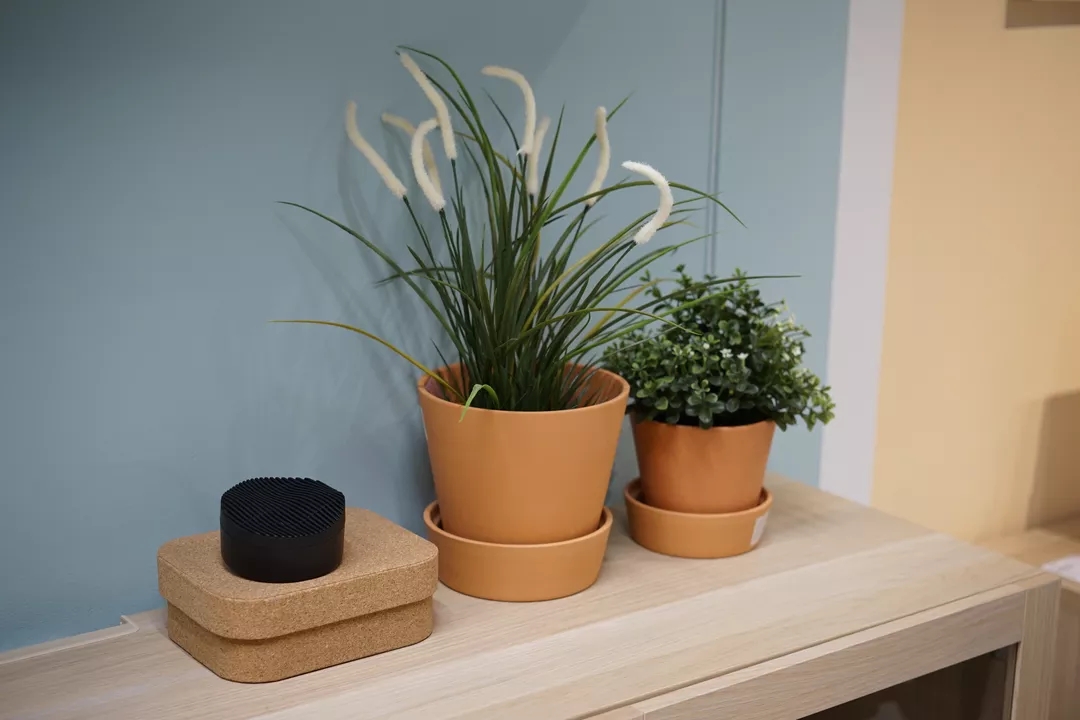 日本人历时50年研制，用“大豆”除甲醛，无毒无害，母婴均可用