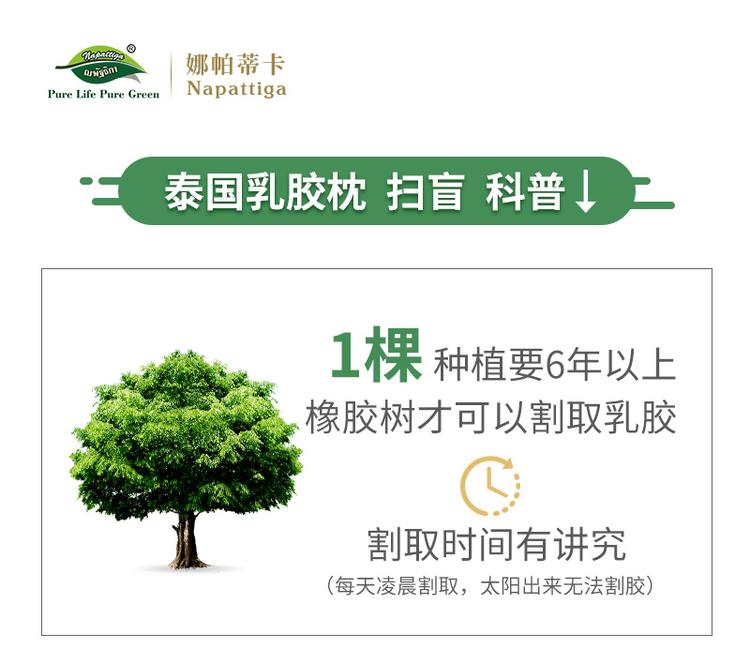 泰国天然乳胶枕头最好的品牌,泰国原装进口高端乳胶寝具