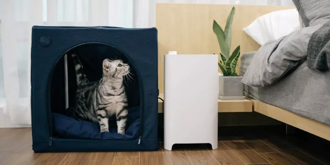 宠物烘干机便捷,宠物烘干机可以烘衣服吗