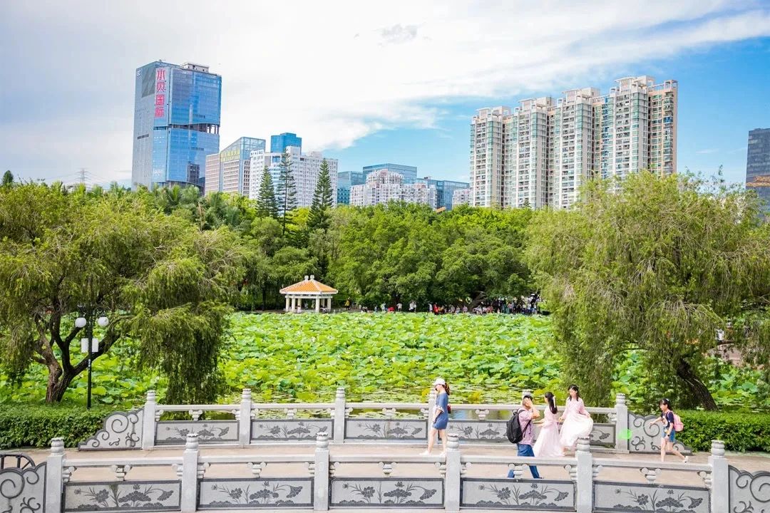 最美湖泊小众风景,最美湖泊西湖