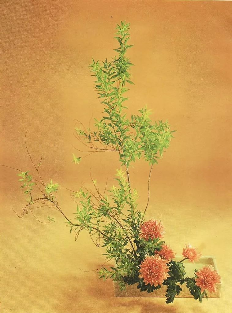 日本顶尖的花道,日本三道茶道书道花道