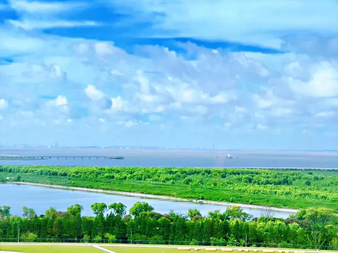 魔都全亚洲最高酒店,魔都第一海景酒店