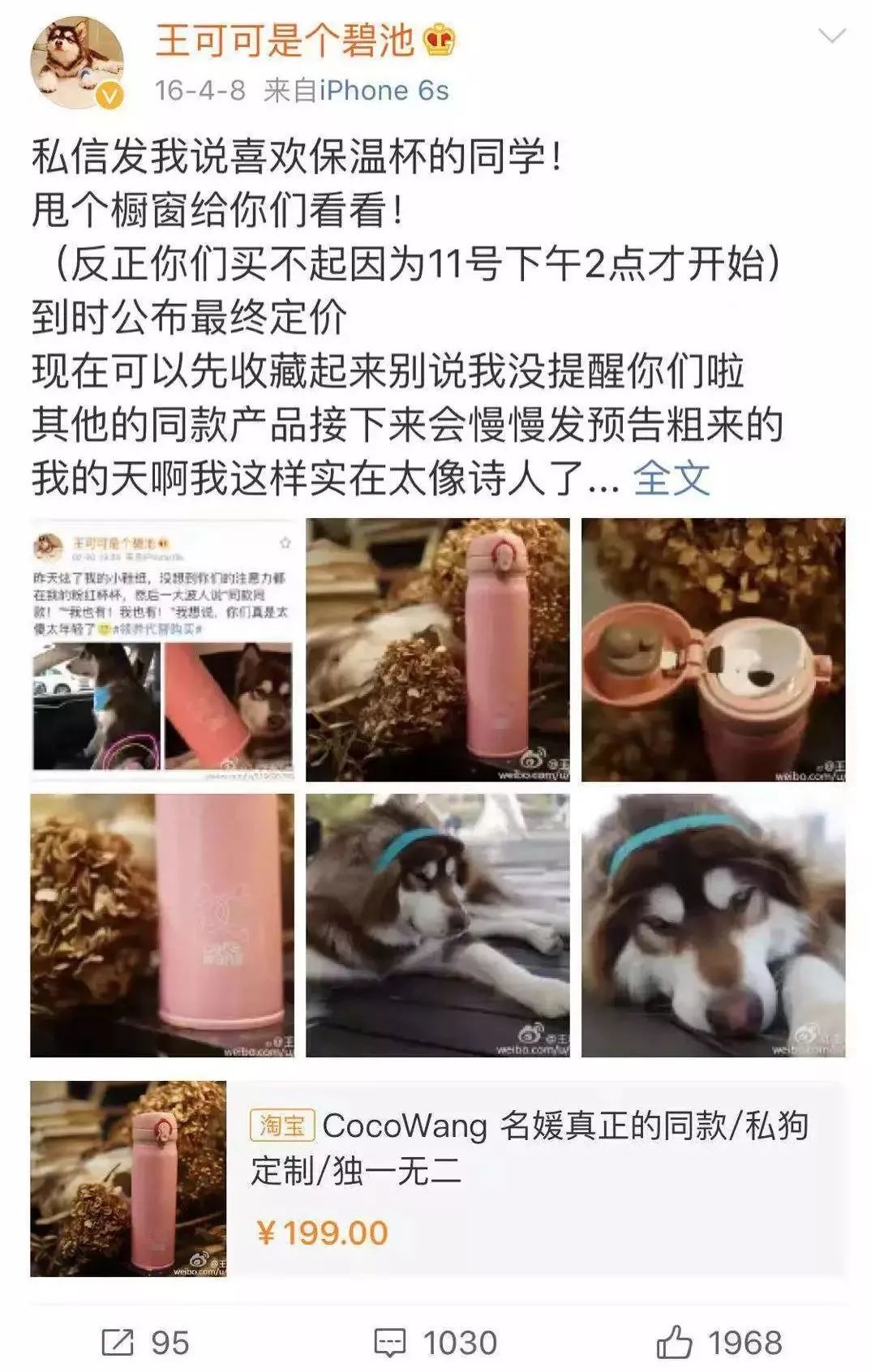 宠物经济剖析,宠物经济如何赚钱
