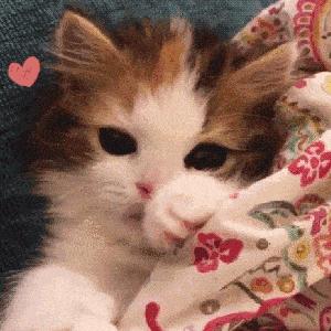 少女感十足的唇釉推荐,贫民窟女孩也买得起的平价好物