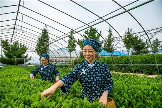 瀹朵埂娓歌,瀹朵埂閭唽