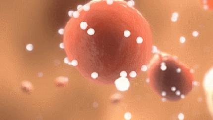 牙黄口臭一招搞定,美白牙齿最有效的方法洗牙