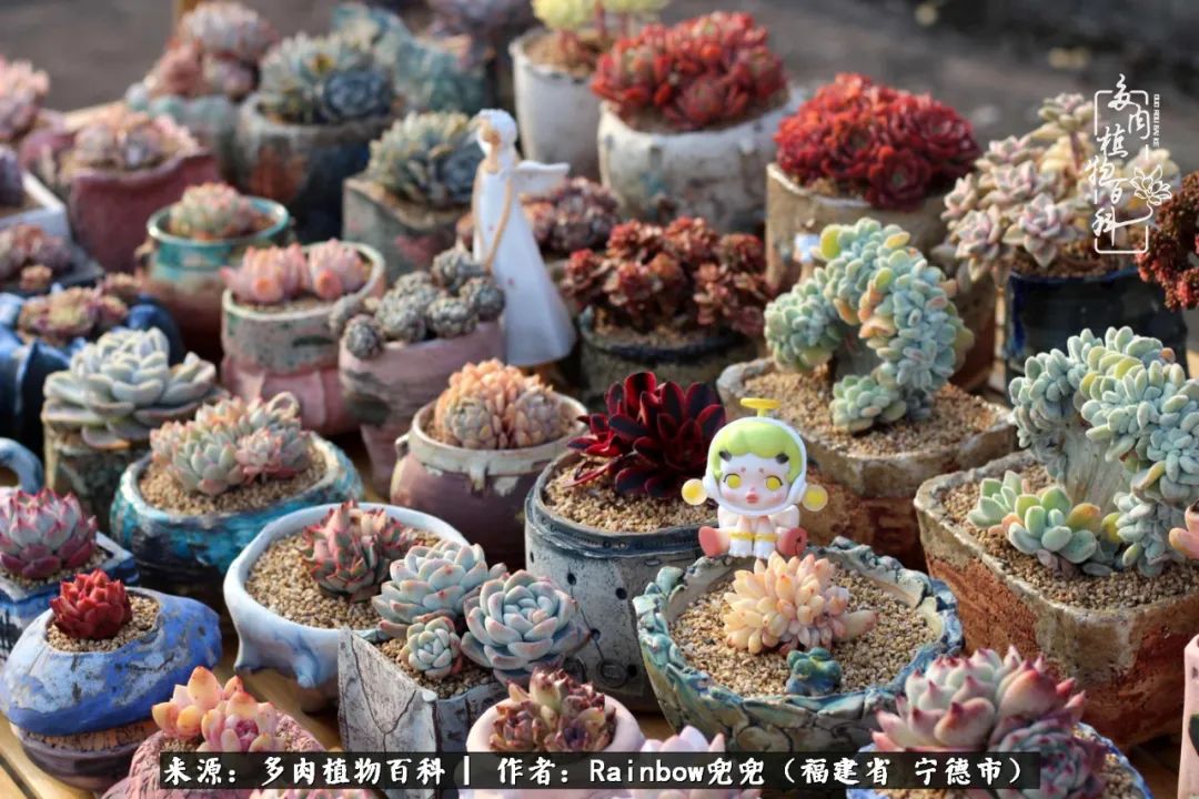 岁月无波澜余生不悲欢是啥意思,愿你岁月无波澜敬我余生无悲欢