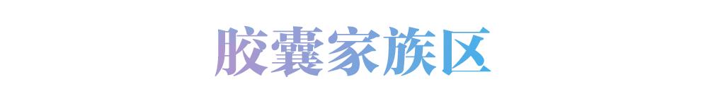 雅顿胶囊套装,雅顿胶囊