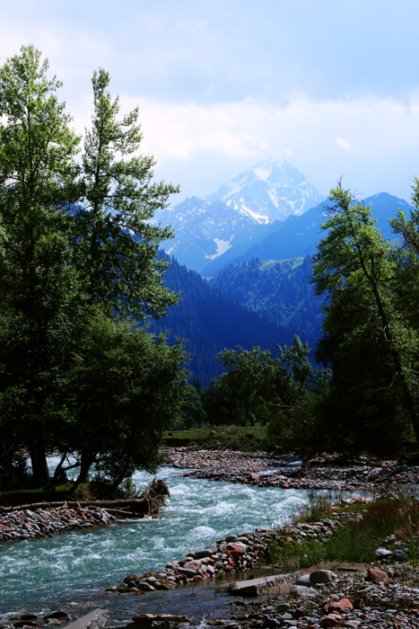 国家认证！*疆新**又一城市成为“中国天然氧吧”，大自然“空调房”就在……