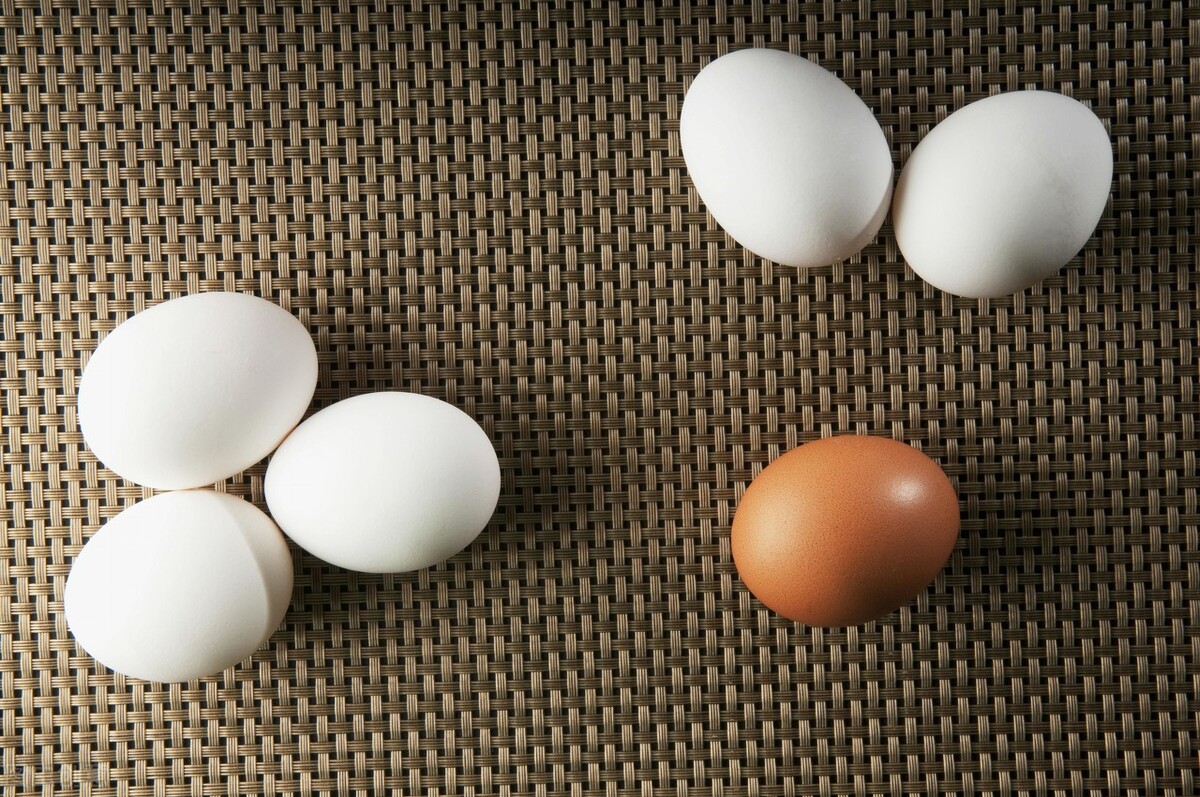 美国留学机构中介,美国留学中介前十名