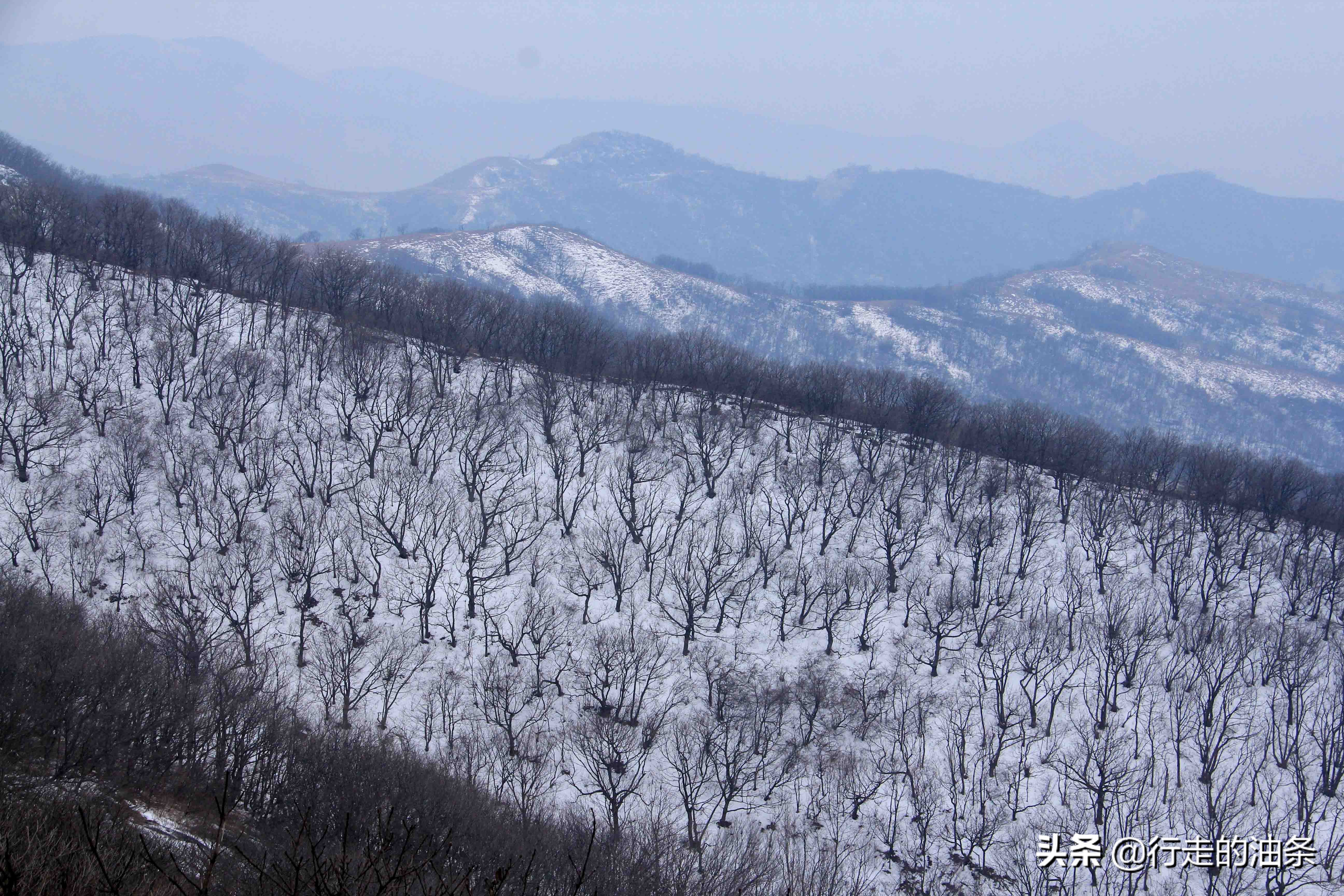 雪山迷路,雪山里迷路