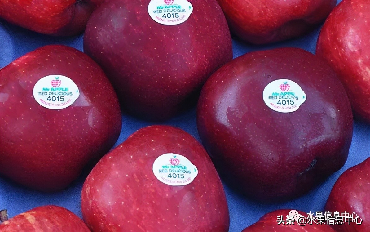 国内最好的苹果品种排行榜前十名,响富苹果和元富红苹果哪个品种好