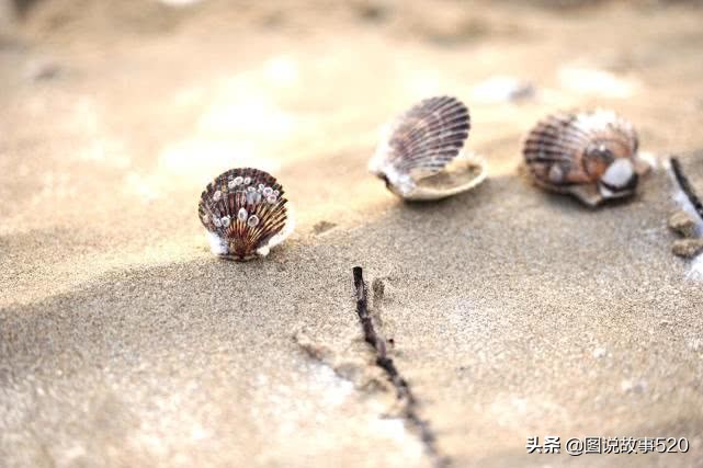大海和沙漠之间的地方,大海和沙漠相接的地方
