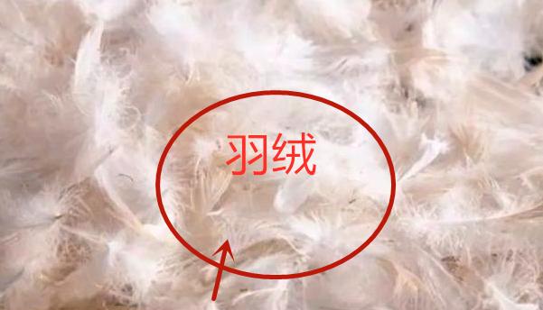 布艺沙发怎么选一分钟带你避坑,布艺沙发买回来需要沙发垫吗