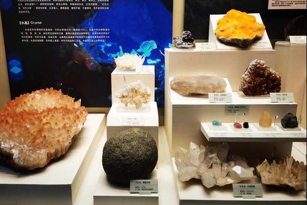 北疆博物馆历史,北疆博物馆最早建立的时间