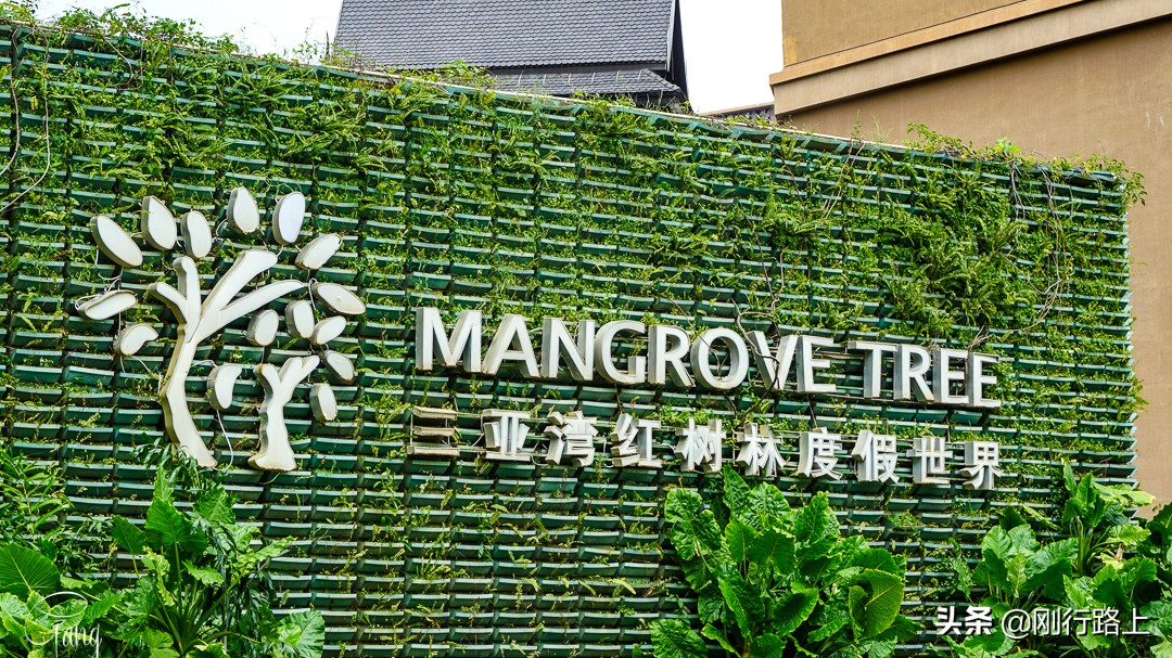 三亚酒店推荐性价比高海边附近,三亚住宿攻略海景酒店五天四晚