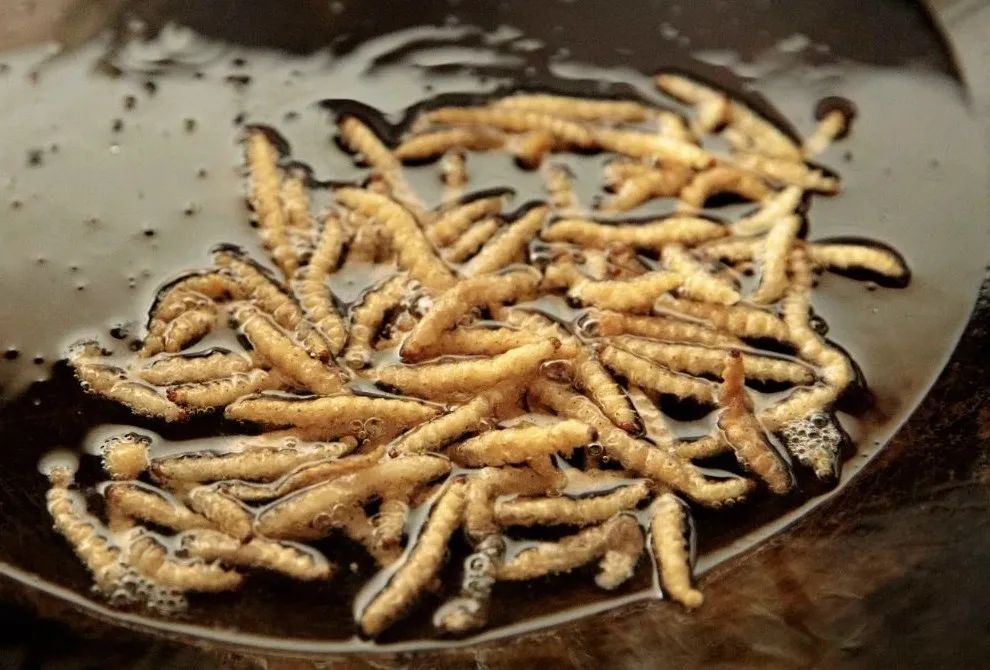 云南旅游最便宜的机票,云南旅游机票最便宜的时候