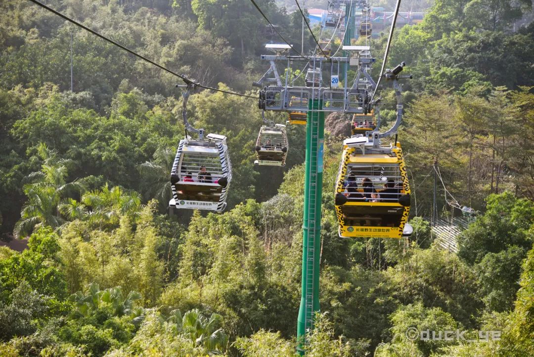 如何玩转广州长隆野生动物世界,自驾长隆野生动物世界攻略