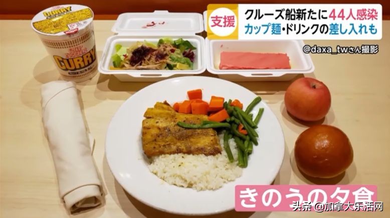 钻石公主号外国报道,美国为什么不管钻石公主号