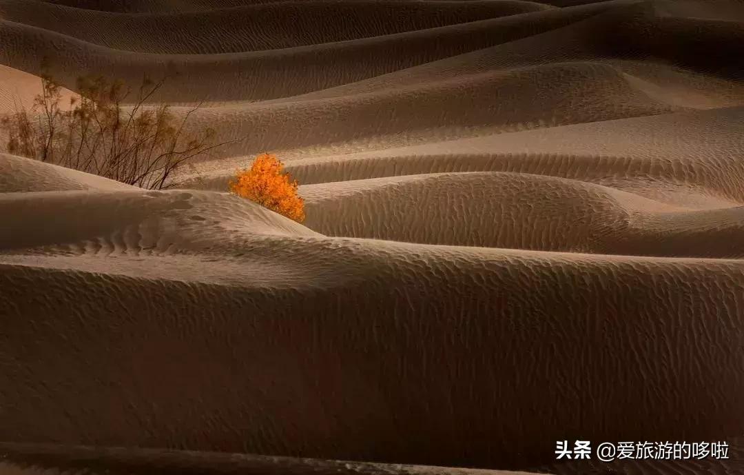 中国最美十大自驾线路,中国最美的七条自驾游路线