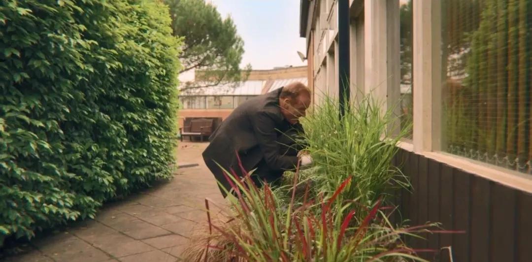 陪爸妈看了那些毁三观的神剧,那些曾经陪爸妈看过的毁三观神剧