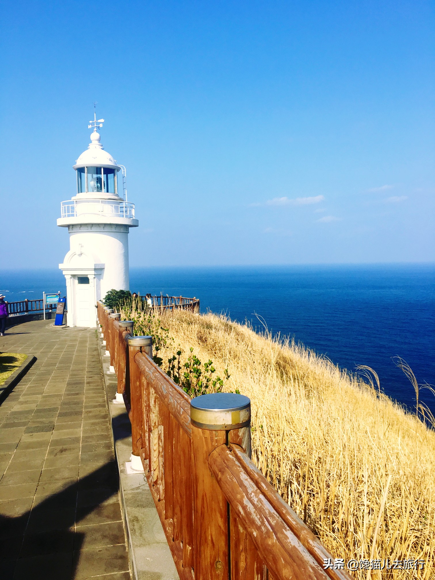 韩国人有多喜欢青岛,韩国人在韩国看对面的青岛