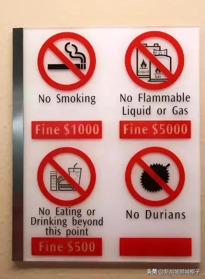 新加坡生活省钱攻略,2020新年新加坡旅游攻略