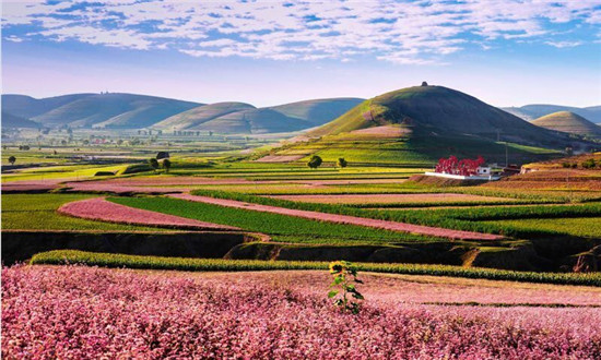 定边人大主任,定边人事调整卫生局局长公示