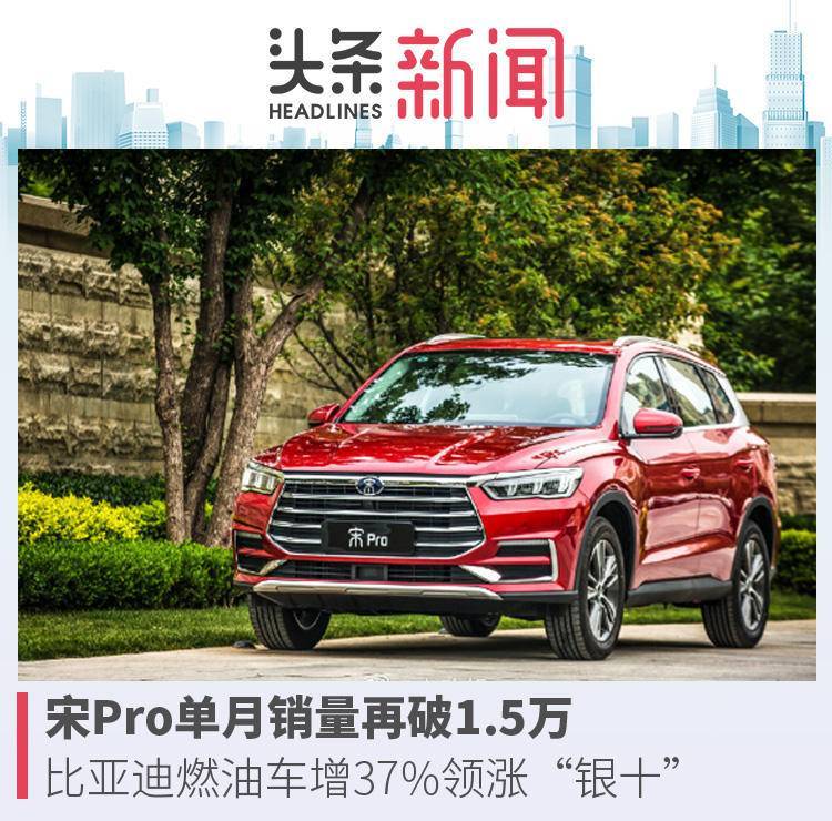 比亚迪12月的销量明细宋pro,宋pro销量超plus