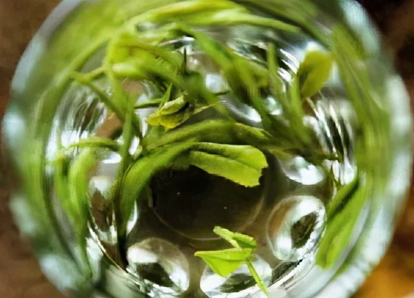 喝茶头晕想吐的原因,喝茶以后头晕目眩呕吐怎么办