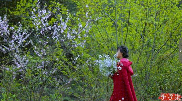掬水月在手弄花香满衣兴来无远近,掬水月在手弄花香满衣书法作品