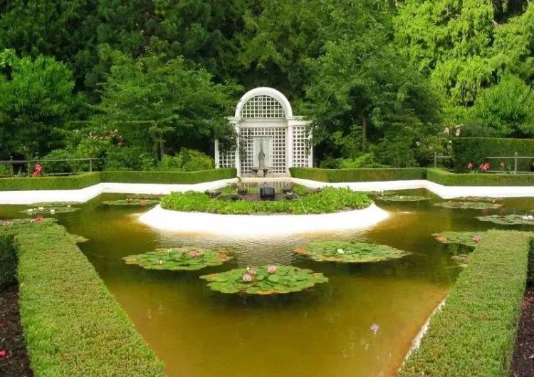 上善若水：《初夏湖边漫步有感》诵/郭星妍