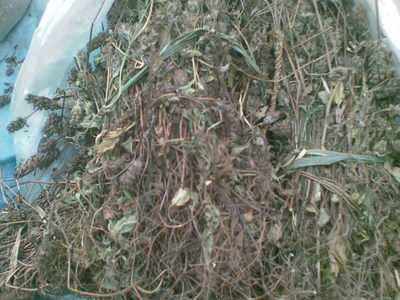 楼兰古墓怎么发现,楼兰遗址发现的遗骨经过复原