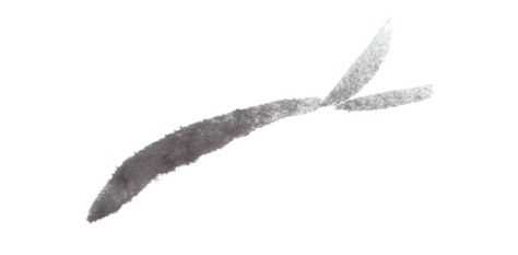 草鱼不会画？那是你没有学会这几点画法，学会几分钟画《鱼乐图》