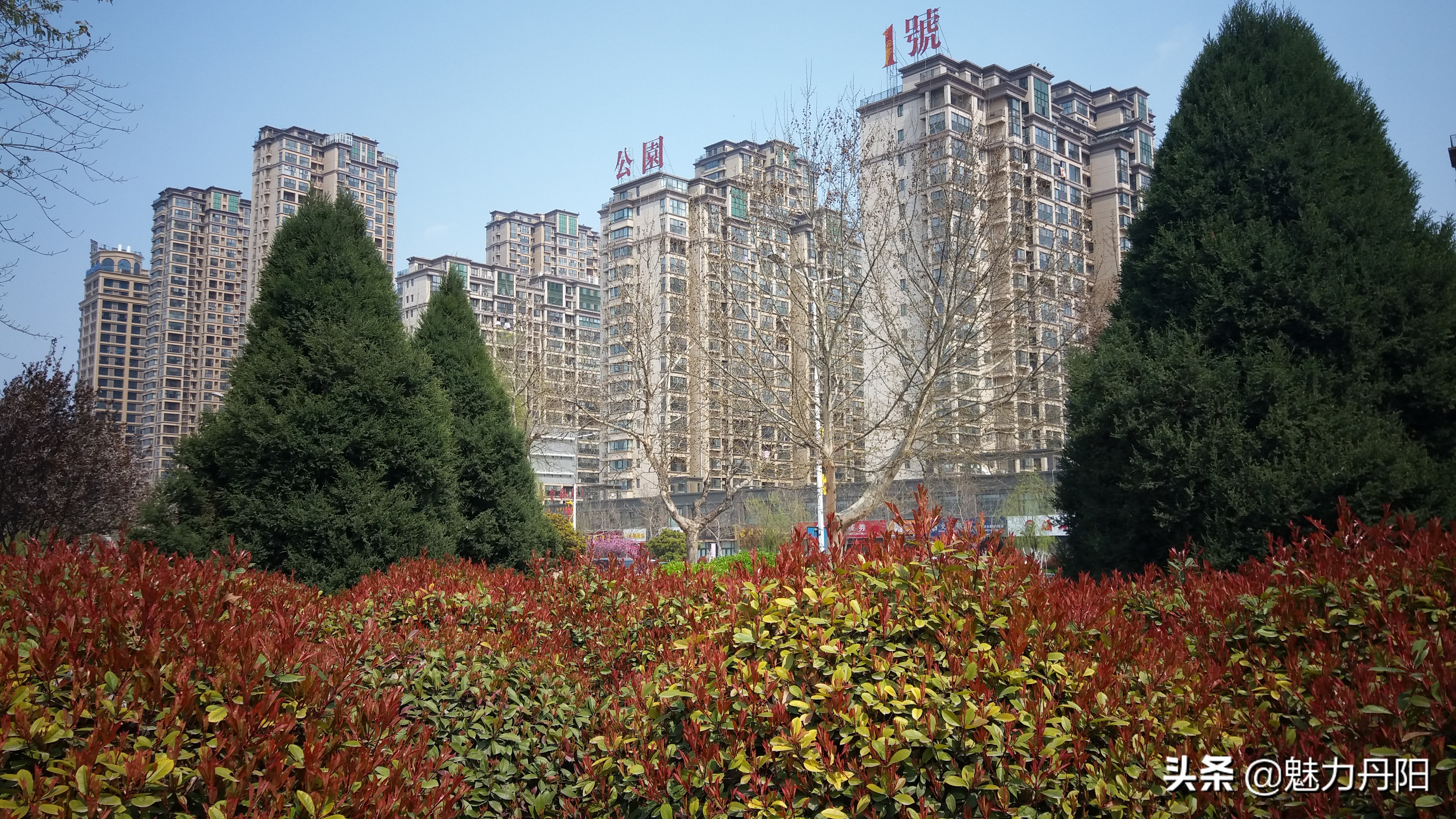 红旗飘扬春潮涌,专题片解说词——菏泽市开发区丹阳街道科学发展纪实