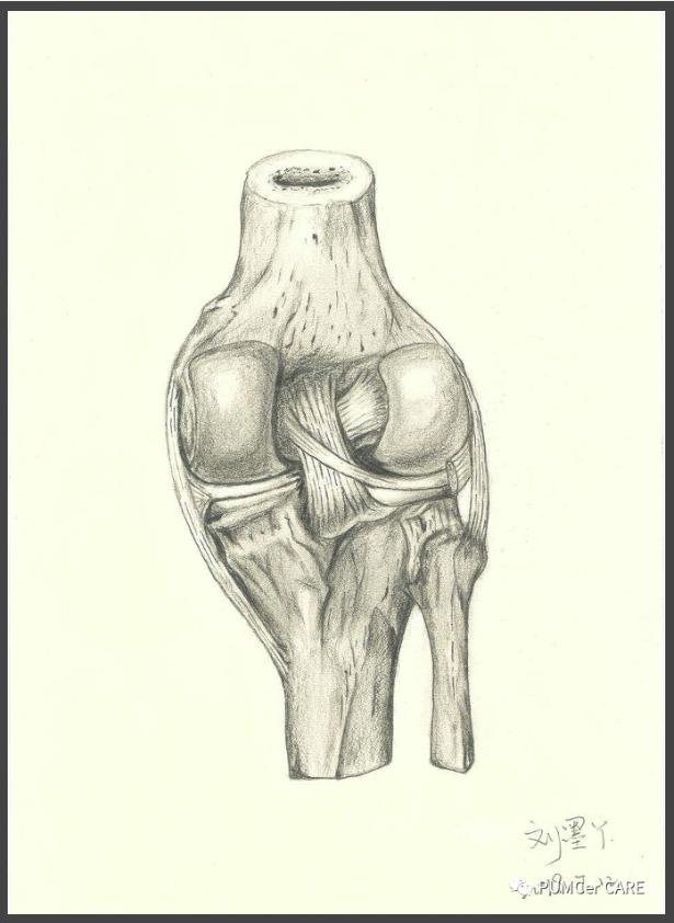 灵魂画手已出炉,灵魂画手来了图片