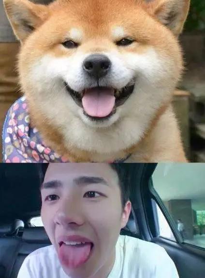 明星大撞脸你看哪个最像,明星撞脸对比