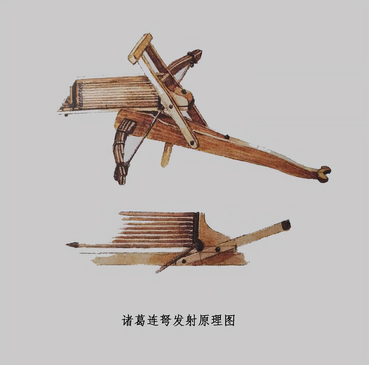 弩在历史上为什么没有普及,弩箭的起源地
