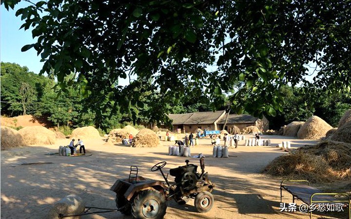 八十年代那年初夏,一只咸鸡蛋温暖一家人