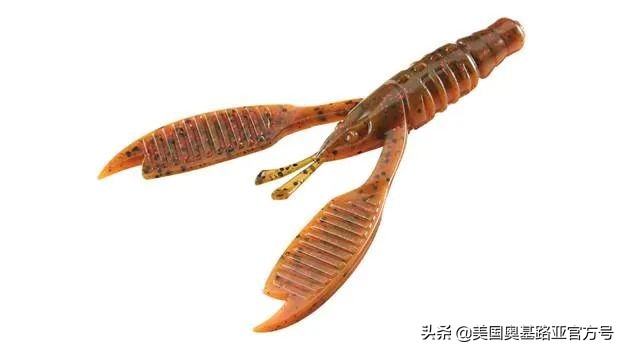 全国各地渔具展,全国渔具展2024