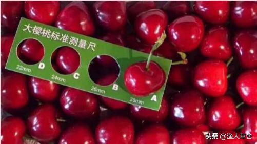 辽宁大连有什么土特产品,大连特产农产品标志