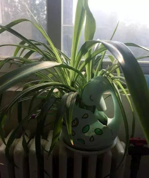 洗衣液瓶改造成花瓶怎么改造,空洗衣液瓶改造成花瓶的教程