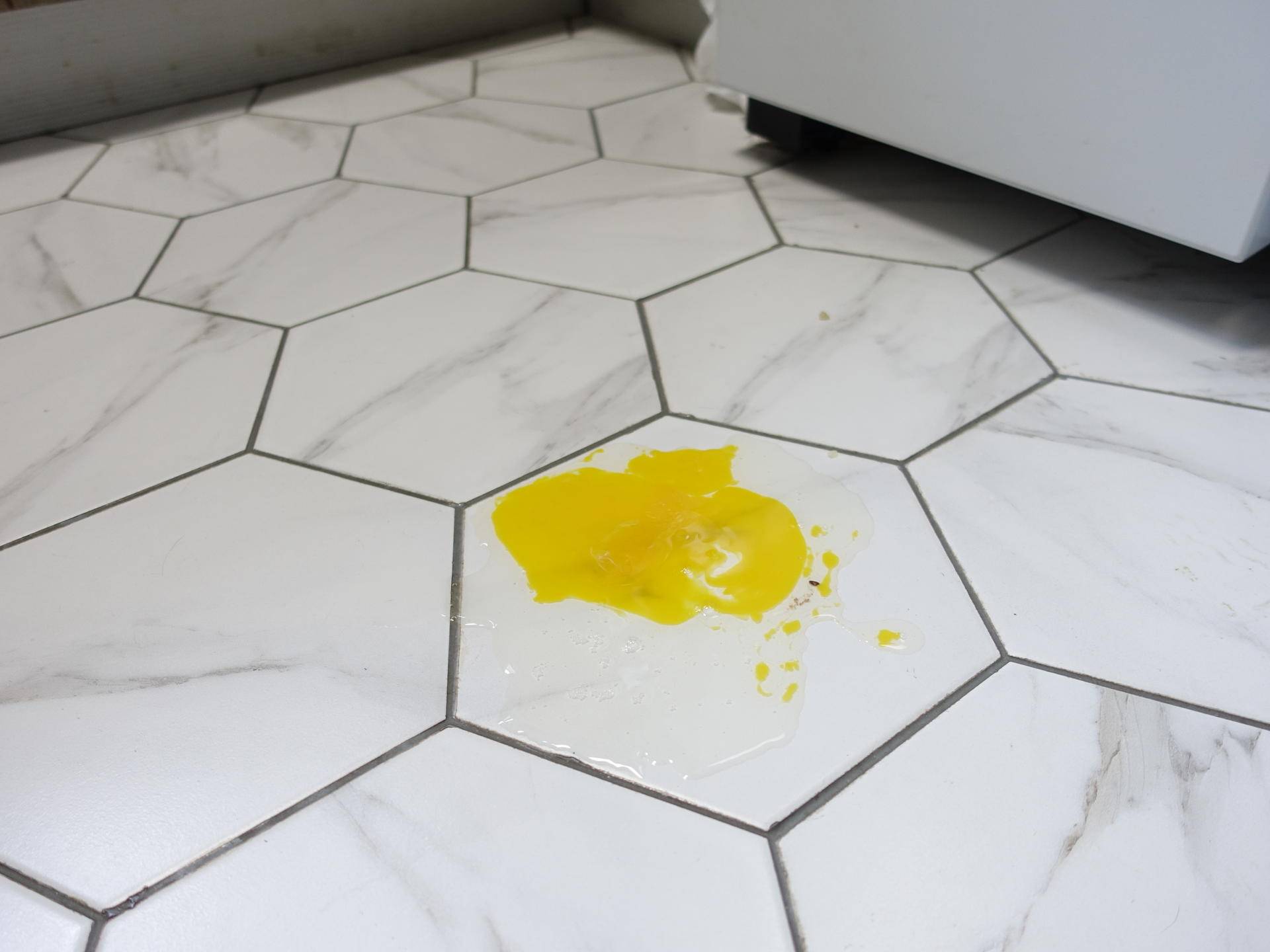 必备清洁电器推荐哪款好,家用清洁类小家电品牌