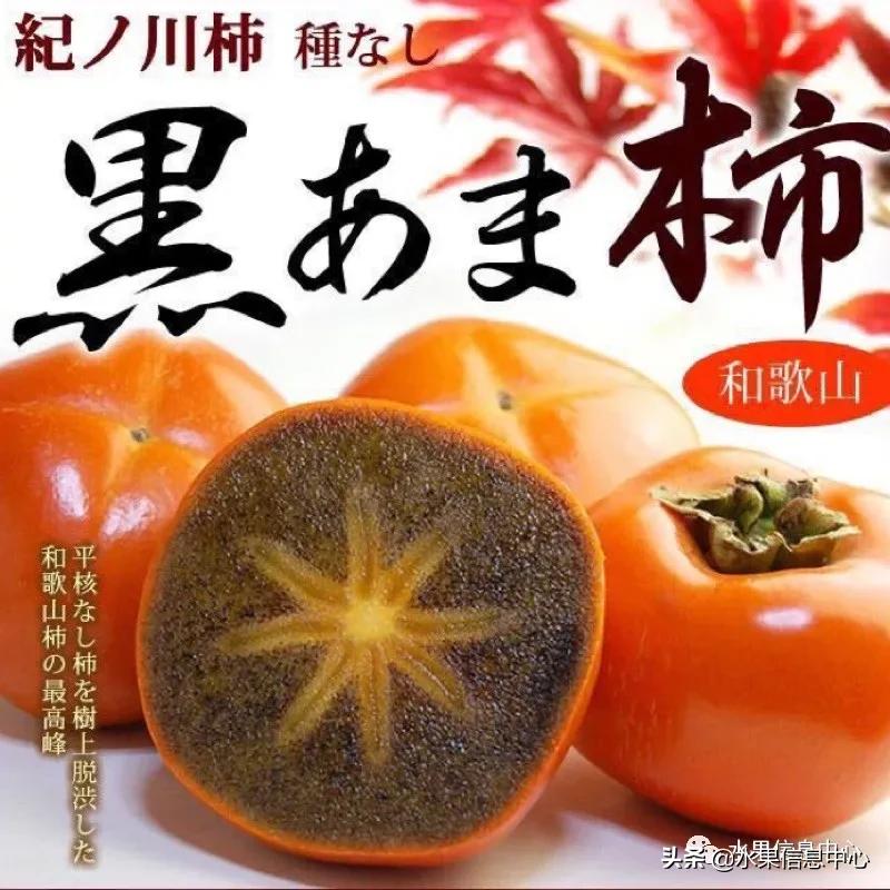 进口水果生意年入千万,批发水果月入百万