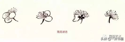 图文教程一学就会画梅花,一步一步教你画梅花