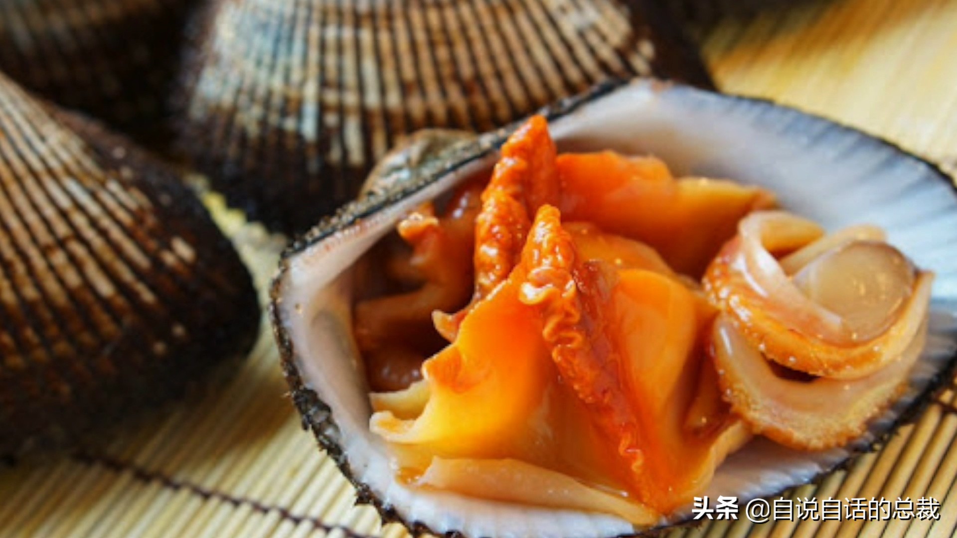 蚶蛤蛏蚬区别,蛤蜊蚶子蛏子区别