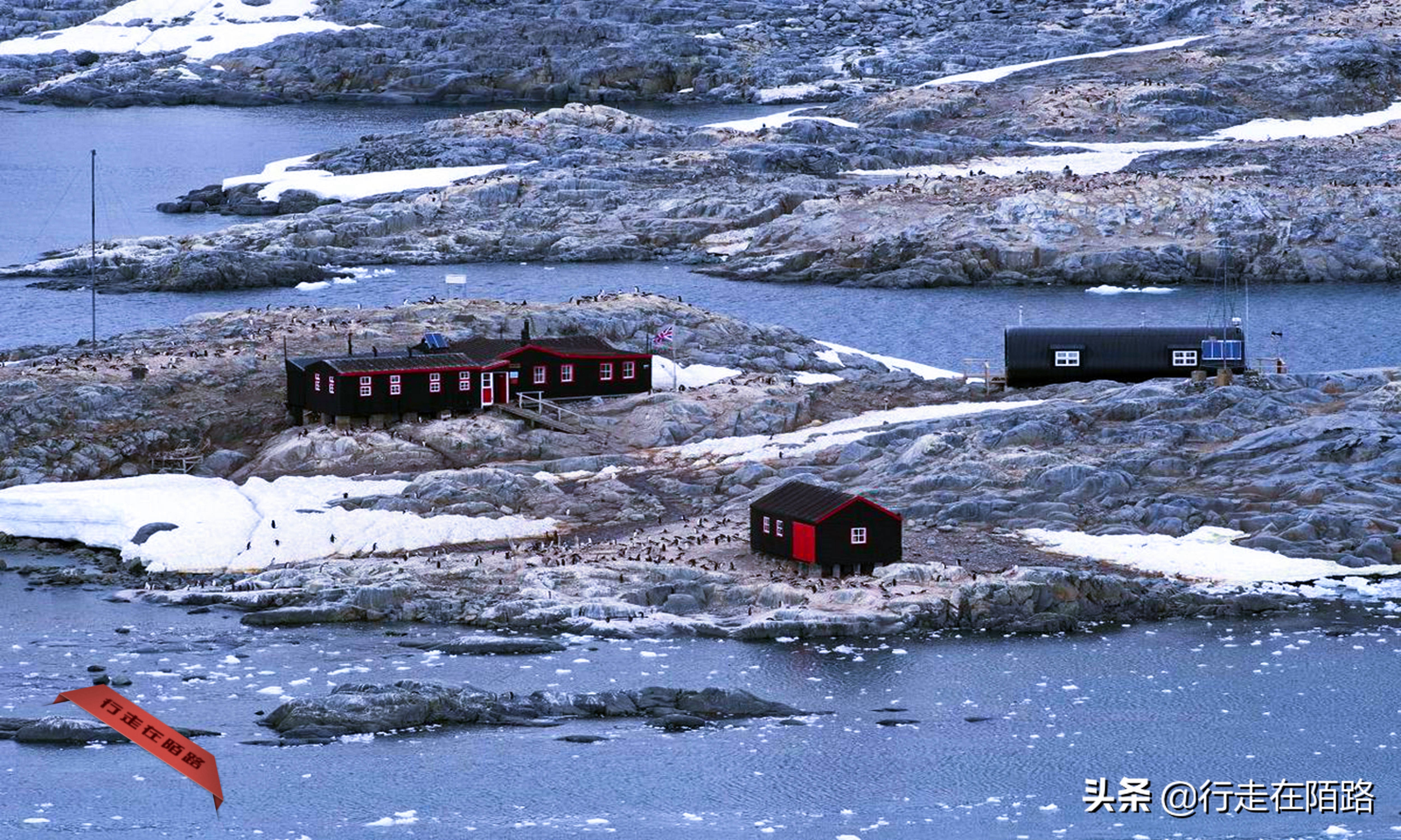 铲屎官招聘,邮局招聘吗